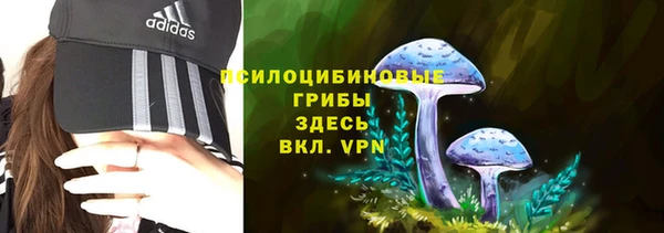 амф Алексин