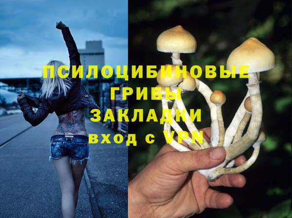 прущая мука Алзамай